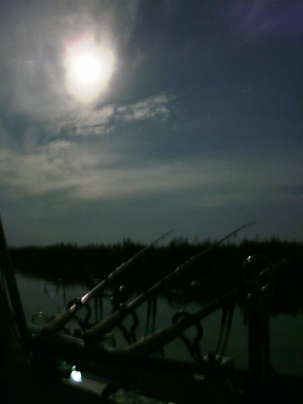 Rosu - Septembrie  2015 - gedc0454.JPG